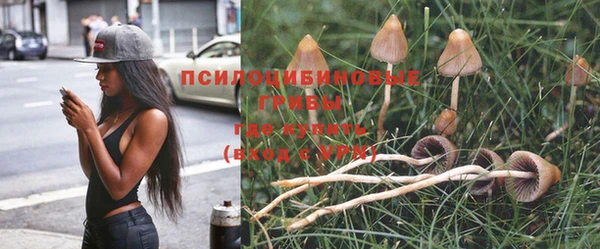 apvp Балахна